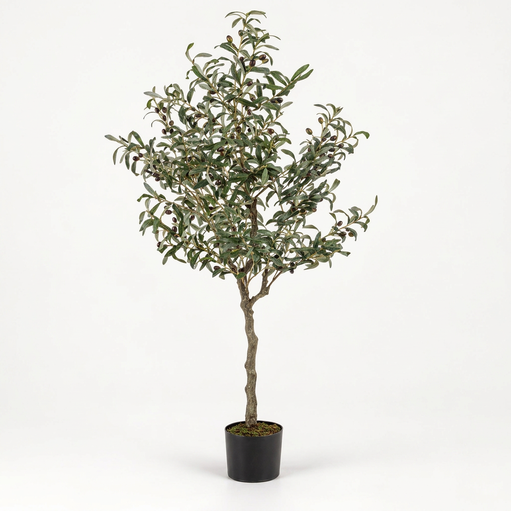 Planta Tiero