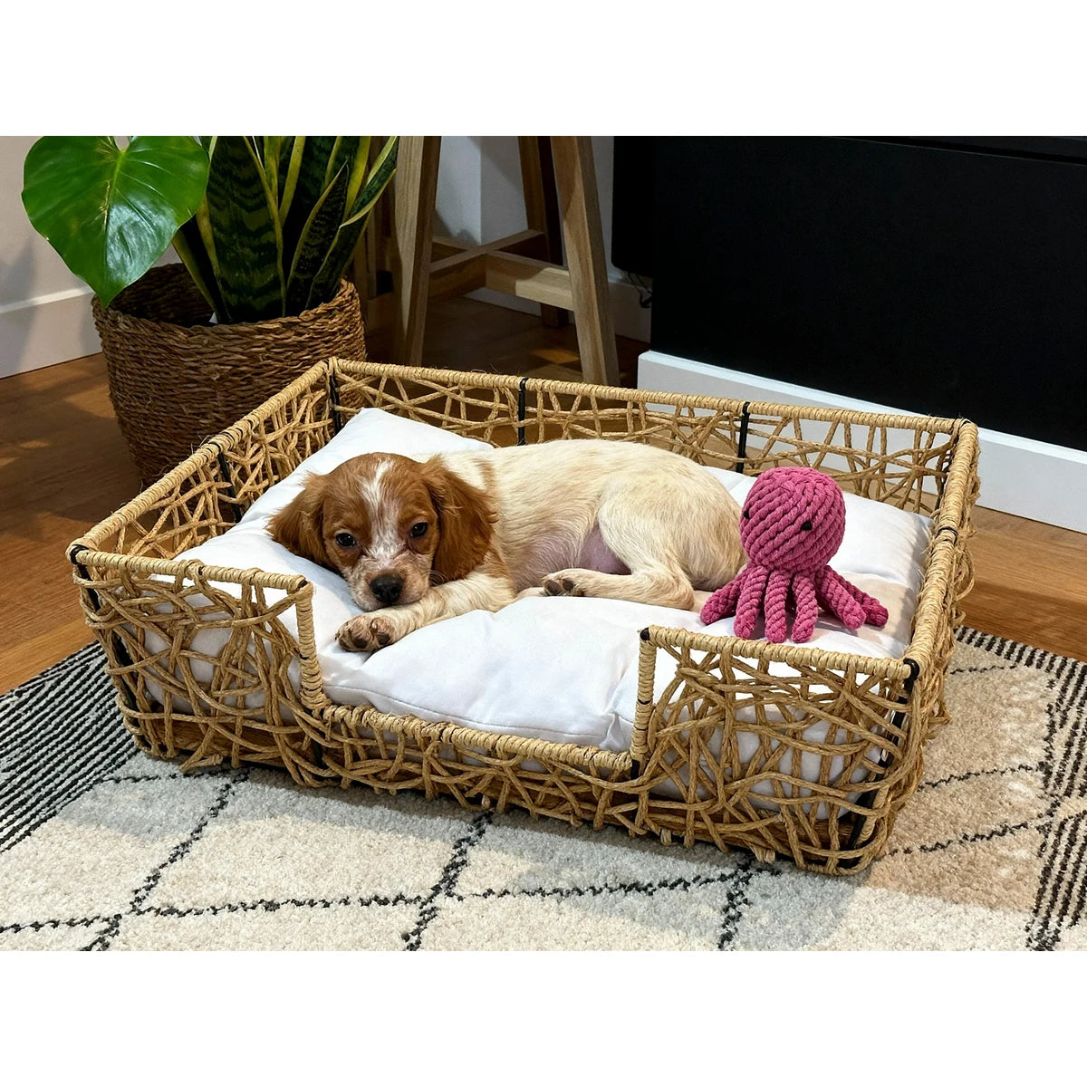 Cama Mascotas Archie