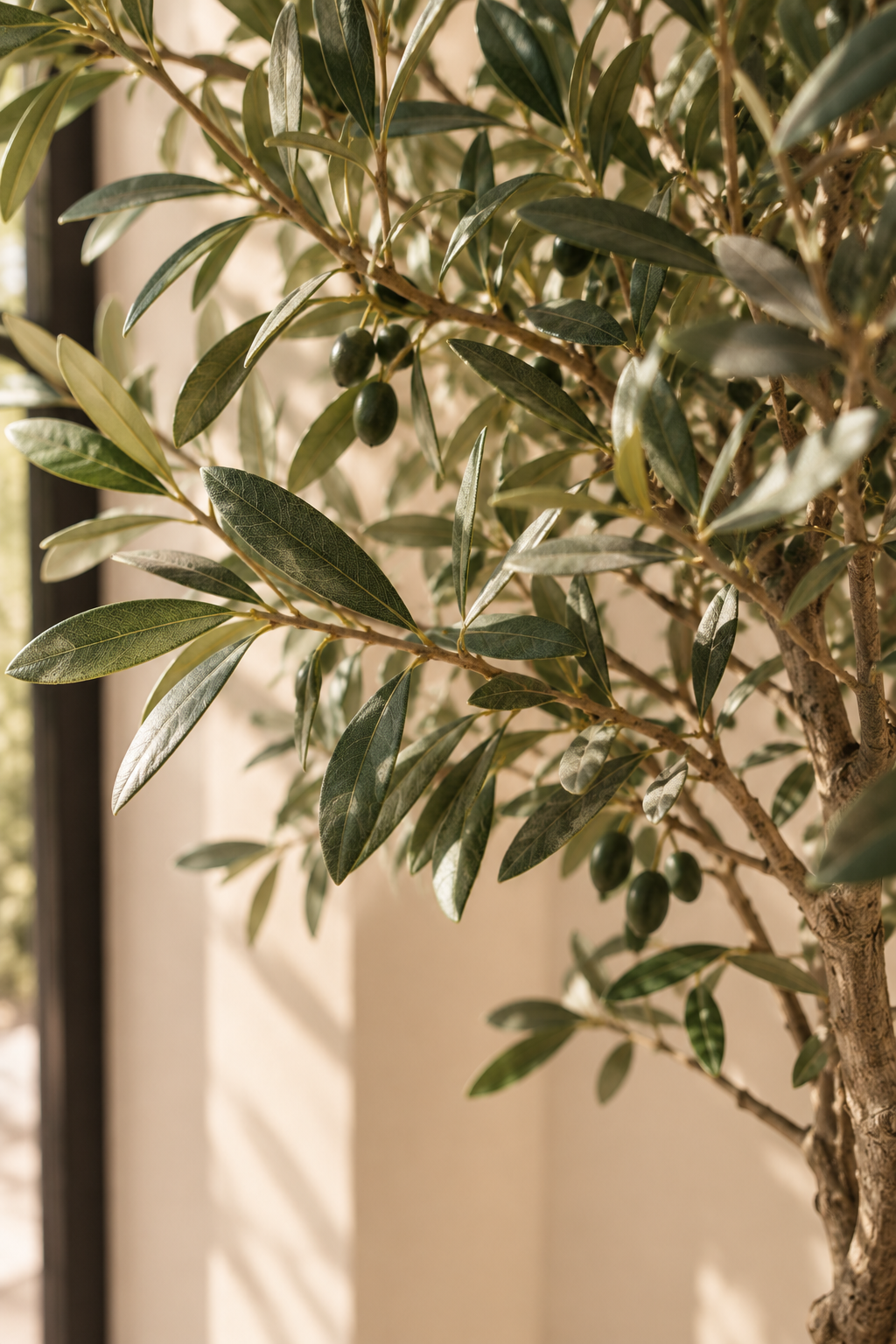 Planta Tiero