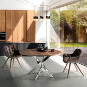 Silla Caut
